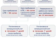 Photo of Общие положения