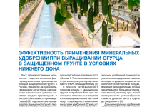 Photo of Эффективные методы органического огородничества