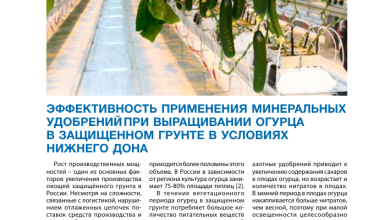 Photo of Эффективные методы органического огородничества