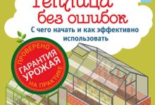 Photo of Теплица для начинающих: с чего начать