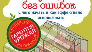 Photo of Теплица для начинающих: с чего начать