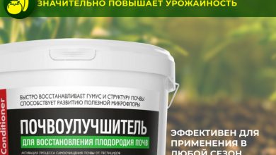 Photo of Восстановление почвы после зимы