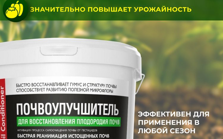 Photo of Восстановление почвы после зимы