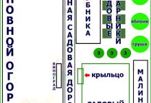 Photo of Планирование огородных работ на весь год