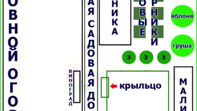Photo of Планирование огородных работ на весь год